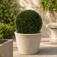 Flowers KOOPMAN BUXUS BALL DIA 30CM (317353770)