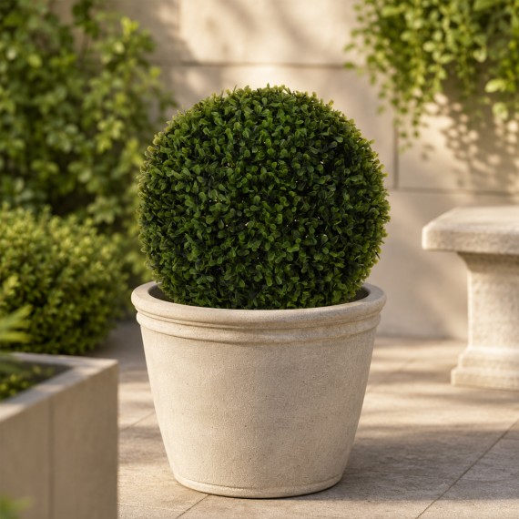 Ծաղիկներ KOOPMAN BUXUS BALL DIA 30CM (317353770)