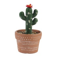 Flowers KOOPMAN CLAY POT WITH CACTUS (HZ1230830)