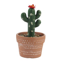 Цветы KOOPMAN CLAY POT WITH CACTUS (HZ1230830)