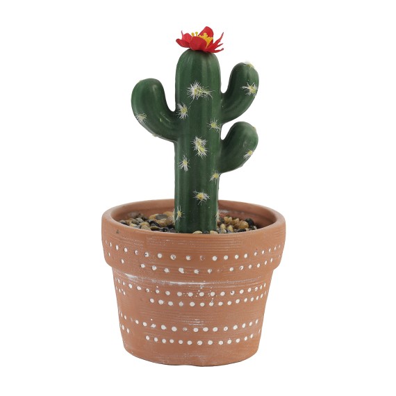 Цветы KOOPMAN CLAY POT WITH CACTUS (HZ1230830)