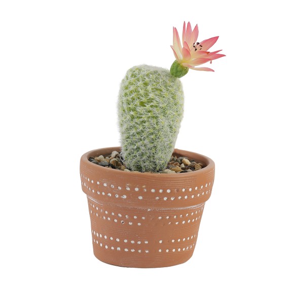 Цветы KOOPMAN CLAY POT WITH CACTUS (HZ1230830)