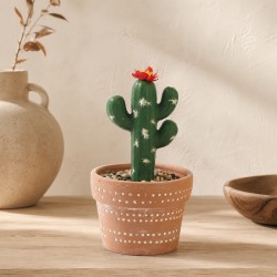 Flowers KOOPMAN CLAY POT WITH CACTUS (HZ1230830)