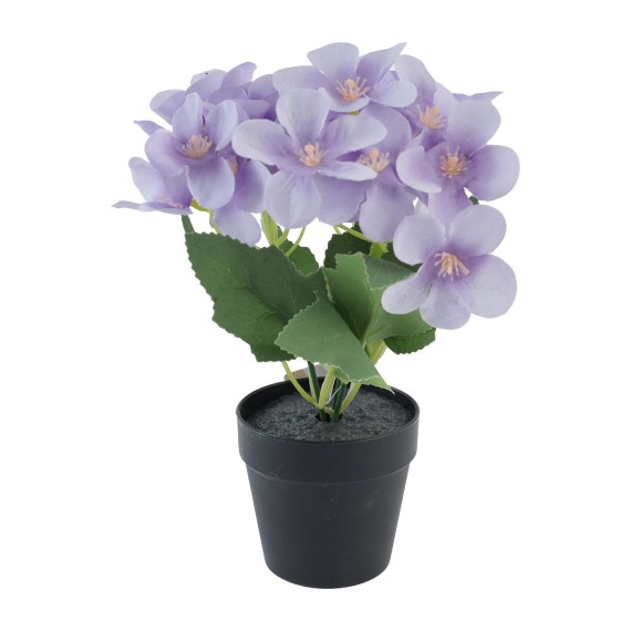 Flowers KOOPMAN FLOWERS INBLACK POT 4ASS1 (312868) (317354310)