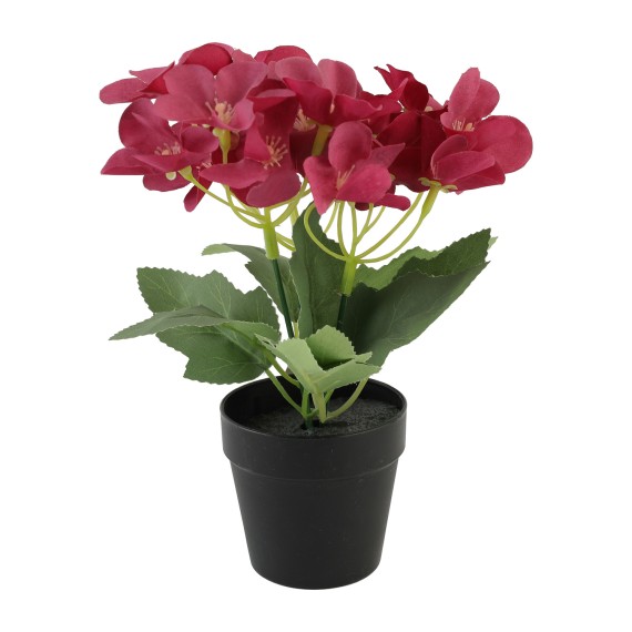 Flowers KOOPMAN FLOWERS INBLACK POT 4ASS1 (312868) (317354310)