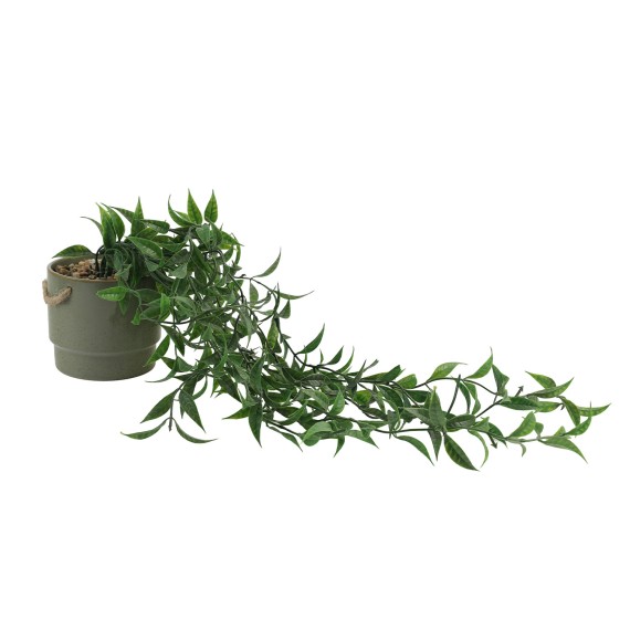 Flowers KOOPMAN HANG PLANT IN CERAMIC POT (HZ1952820)