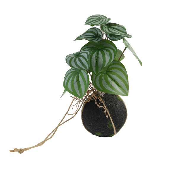 Цветы KOOPMAN HANGPLANTS IN POT 29CM 4ASS (PL4100350)