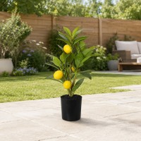 Decorative trees KOOPMAN LEMON TREE IN POT 43CM (NB1720400)