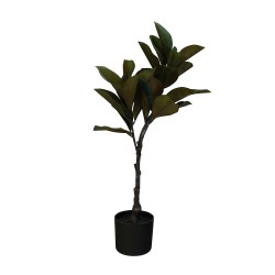 Декоративные деревья KOOPMAN MAGNOLIA IN POT 35X98CM (318001460)