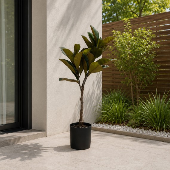 Декоративные деревья KOOPMAN MAGNOLIA IN POT 35X98CM (318001460)