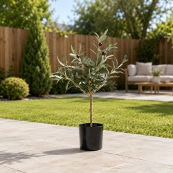 Decorative trees KOOPMAN OLIVE TREE IN POT 66CM (317002910)