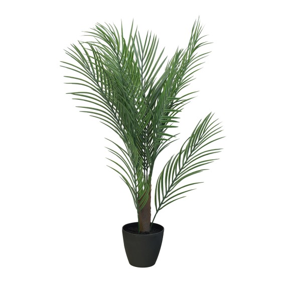 Декоративные деревья KOOPMAN PALM TREE IN BLACK POT 3ASS (317355230)