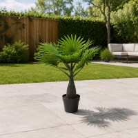 Декоративные деревья KOOPMAN PALM ARTIFICIAL 40CM 3ASS (317880060)