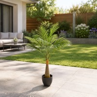 Декоративные деревья KOOPMAN PALM IN POT 80CM (317888050)