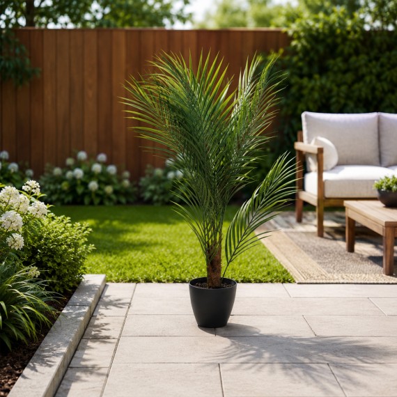 Декоративные деревья KOOPMAN PALM TREE IN BLACK POT 3ASS (317355230)