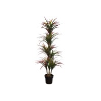 Декоративные деревья KOOPMAN PLANT ARTIFICIAL YUCCA 150CM (318000140)