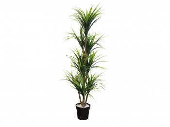 Decorate objects KOOPMAN PALNT ARTIFICIAL YUCCA 150CM (318000140)