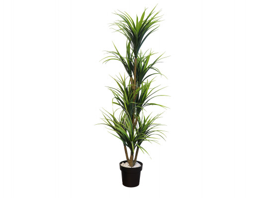 Դեկորատիվ առարկաներ KOOPMAN PALNT ARTIFICIAL YUCCA 150CM (318000140)