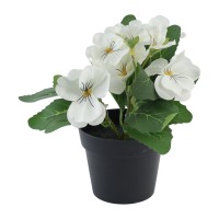 Цветы KOOPMAN PANSY PLANT IN POT 4ASS KLEUR (825634) (317355100)