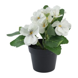 Цветы KOOPMAN PANSY PLANT IN POT 4ASS KLEUR (825634) (317355100)