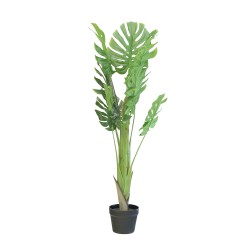 Декоративные деревья KOOPMAN PLANT IN POT 110CM (318001210)
