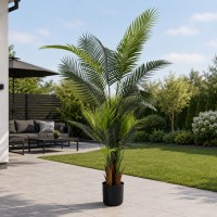 Декоративные деревья KOOPMAN PLANT ARTIFICIAL PALM TREE H160CM (318001020)