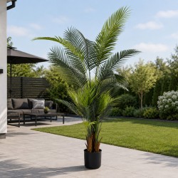Декоративные деревья KOOPMAN PLANT ARTIFICIAL PALM TREE H160CM (318001020)
