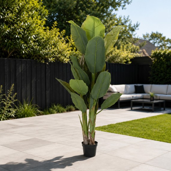 Декоративные деревья KOOPMAN PLANT IN POT 165CM (963830) (318000690)