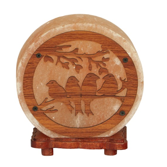 Լուսամփոփ BARRY BEAUTY SALT BULB BIRD WITH WOODEN PICTURE 