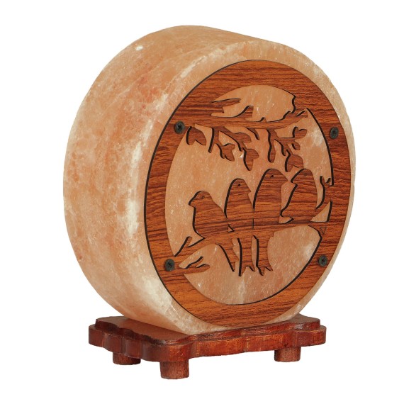 Լուսամփոփ BARRY BEAUTY SALT BULB BIRD WITH WOODEN PICTURE 