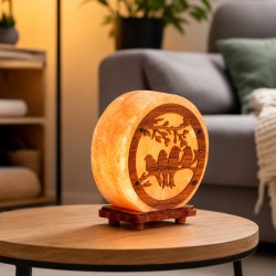 Ночник BARRY BEAUTY SALT BULB BIRD WITH WOODEN PICTURE 
