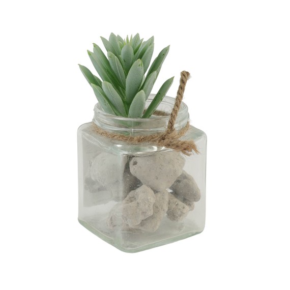 Flowers KOOPMAN SUCCULENT PLANT IN GLASS POT (563345) (D22310070)