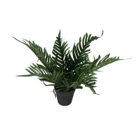 Decorative trees KOOPMAN TREE DECO IN BLACK POT 3ASS (317355220)