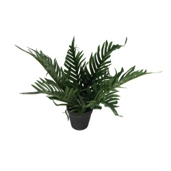 Decorative trees KOOPMAN TREE DECO IN BLACK POT 3ASS (317355220)