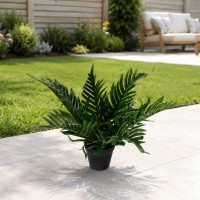 Decorative trees KOOPMAN TREE DECO IN BLACK POT 3ASS (317355220)