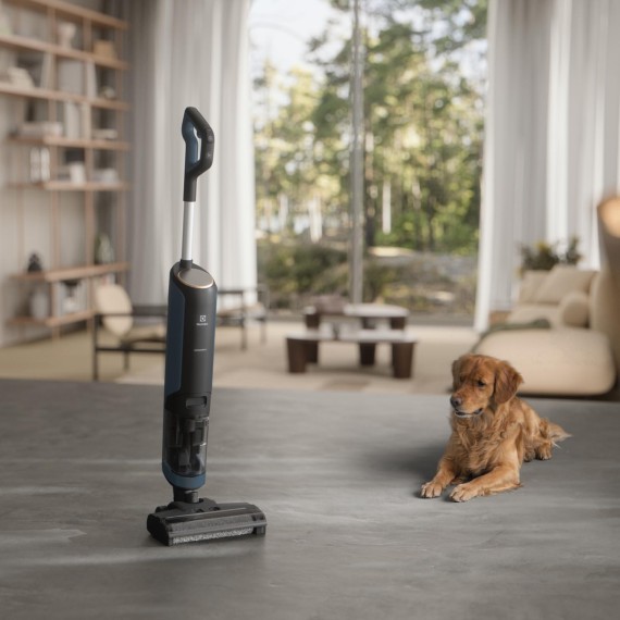 Անլար փոշեկուլ ELECTROLUX EW81U3DB 