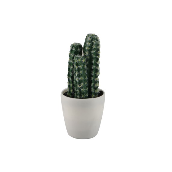 Цветы KOOPMAN PLANTS IN WHITE POT 12ASS (317354160)