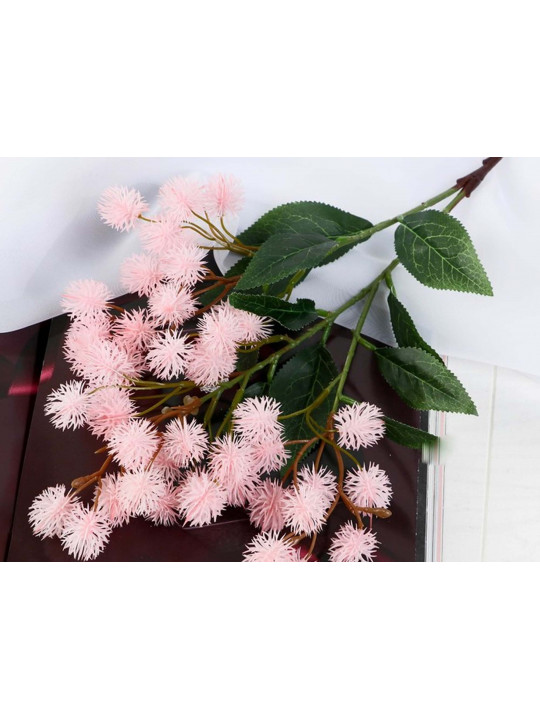 Ծաղիկներ SIMA-LAND RICINA 2,5x73 cm PINK 4738193