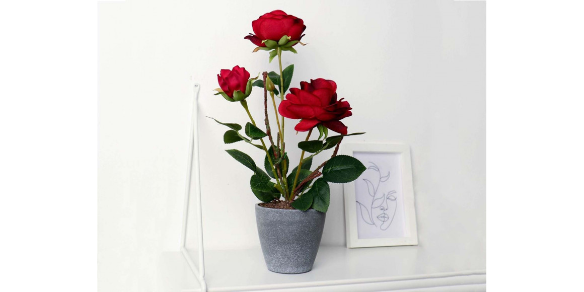 Цветы SIMA-LAND ROSES 10x32 cm 5201891