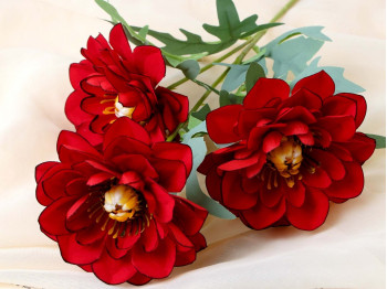 Ծաղիկներ SIMA-LAND BIG ANEMONES RED 4642797