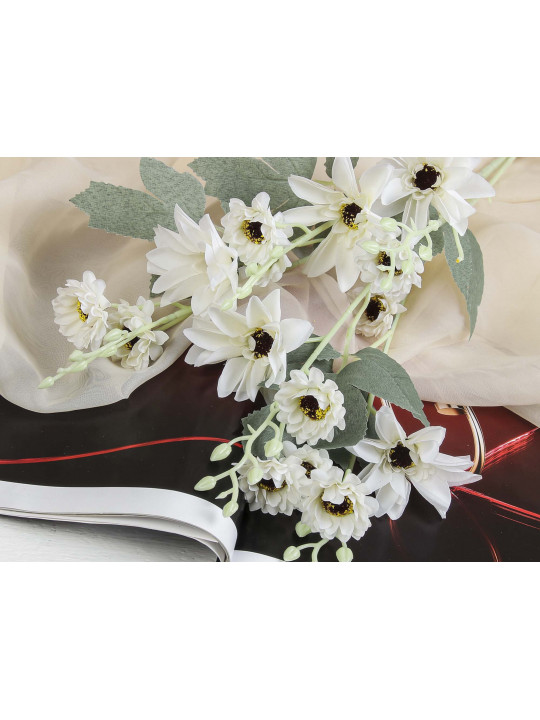 Ծաղիկներ SIMA-LAND GARDEN WHITE GERBERAS 4457711