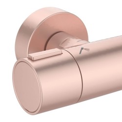 Ցնցուղ-ծորակ IDEAL STANDARD CERATHERM ALU+SHR SYS TH 2F 260MM 2S RO (BD583RO)