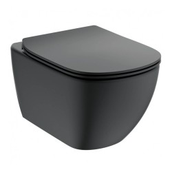 Toilet-bidet IDEAL STANDARD TESI WHG BWL SILKBL AB HF BXD (T0079V3)