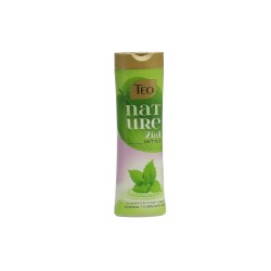Shampoo TEO NATURE 2 IN 1 350 ML (046728) 