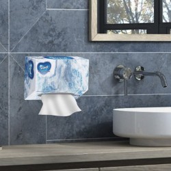 Paper towel SELPAK ՁԵՌՔԻ ԵՎ ԴԵՄՔԻ ՍՐԲԻՉ 80հ (058408) 