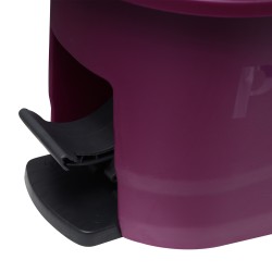 Cleaning agent PAREX Thunderbolt (103066)