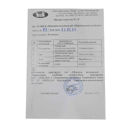 Շամպուն NASHA MAMA Шампунь и Гель Для Душа 2в1 Йогуртовая Ежевика 250мл (151920) 