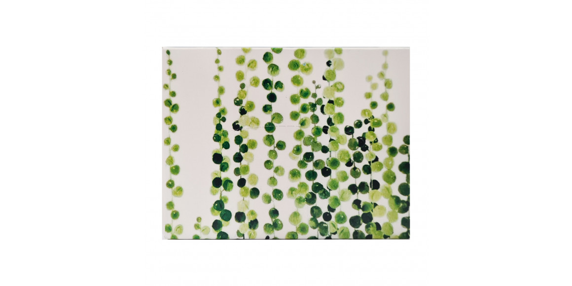 Napkin DAR Անձեռոցիկ 60հ (390012) 