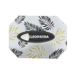 Салфетка CLEOPATRA Աձեռոցիկ Փոքր ՈՒթանկյուն Երկշերտ Տուփով 100հ (500025) 