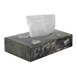 Napkin ECCA  ՄԵՔԵՆԱՅԻ 100 ՀԱՏ 2Շ (560387) 